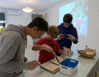 Portugese dessertjes maken