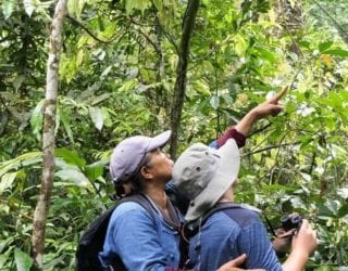 Dwars door de jungle van Khao Yai