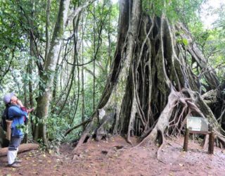 Khao Yai park met kinderen
