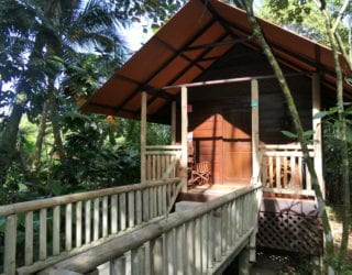 Tortuguero hotel: hut