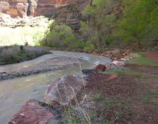 Zion National park met kinderen