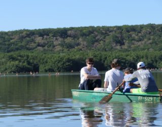 Flamingo kolonie Cuba