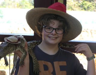 Wolf met een babykrokodil in Playa Larga