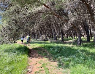 Otranto trektocht naar Bauxiet meer