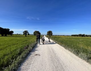 Ostuni postcard road