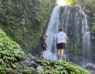 Kinderen kijken naar waterval