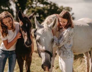 Ontmoet magische witte paarden