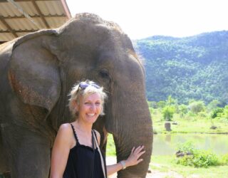 Bewonder de olifanten van dichtbij