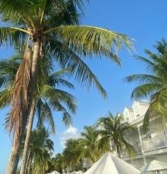 Hotel Key West aan het strand