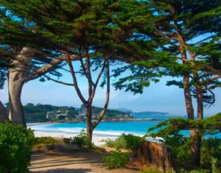 Walvissen spotten met kinderen bij Big Sur