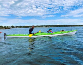 Kajakken met kinderen tussen de zeeleeuwen in Victoria