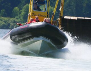 Met de zodiac op zoek naar zeedieren rond Tofino