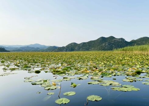 Meer van Skadar Montenergo