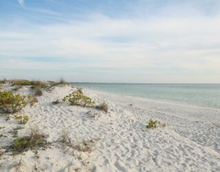 Het strand van Sanibel