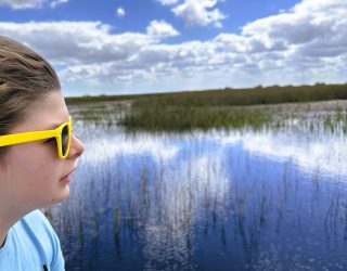 Kind in Everglades