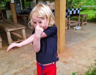 Kind bij olifanten Chiang Mai Thailand