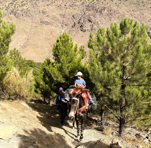 Op stap met de ezel door het atlasgebergte