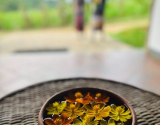 Bloemetjes Glamping Gal Oya