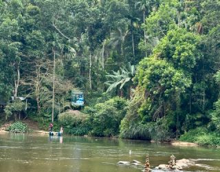 Rivier in Kitulgala Sri Lanka