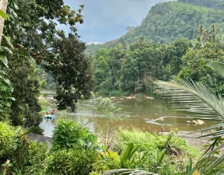 Water en groen in jungle