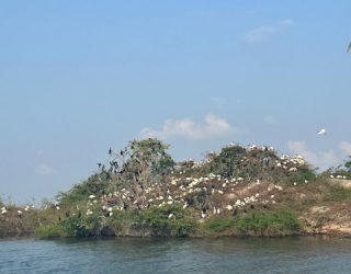 Vogels spotten op eilandje Gal Oya