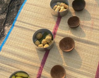 Thee en hapjes boottocht Gal Oya