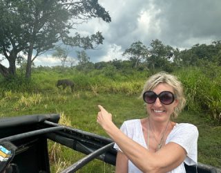 Kiddo medewerker spot olifanten