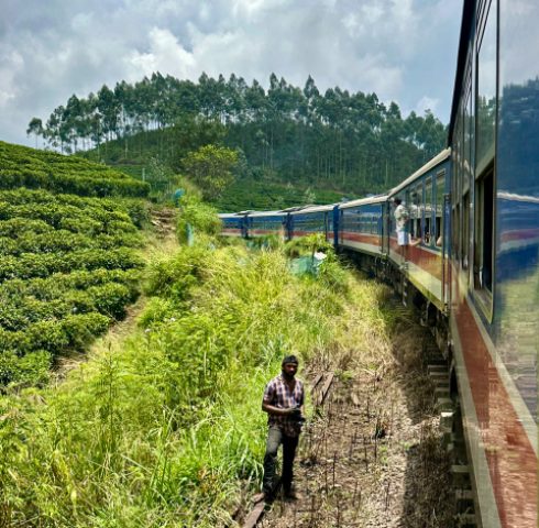 Met de trein door theeplantages
