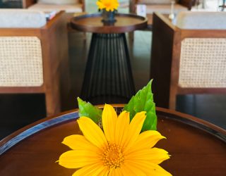 Bloem in jungle resort