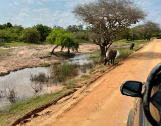 Yala National Park jeeptocht