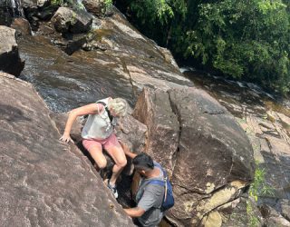 Tussen rotsen in de jungle