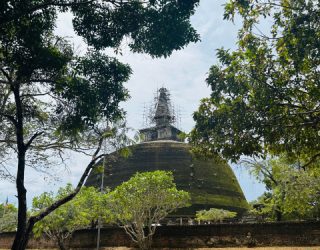 Bij de ruïnes van Polonnaruwa