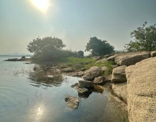 Meer Gal Oya wildlife spotten