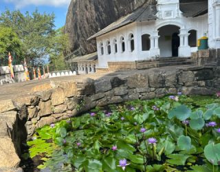 Vijver bij leeuwenrots