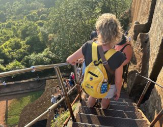 Van leeuwenrots naar beneden