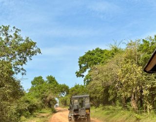 Jeeps hobbelen op wegen in Yala