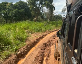 Op jeepsafari in Minneriya National Park