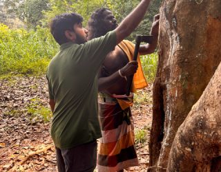 Gids praat met Veddha