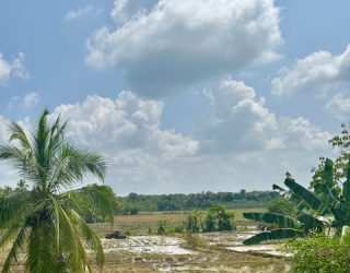 Platteland in Weerawila