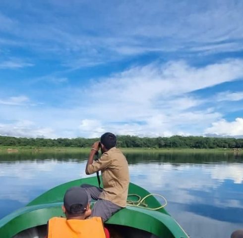 Wildlife spotten op het meer