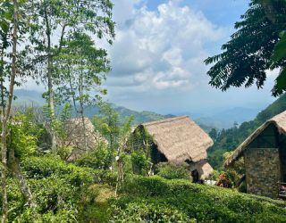 Huisjes tussen de theeplantages in Ella
