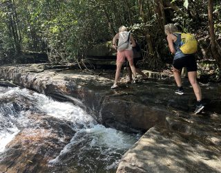 Avontuurlijk jungle hike