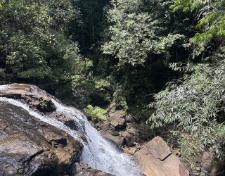 Waterval in jungle