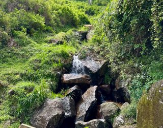 Natuur en rotsen tijdens tuk tuk tour