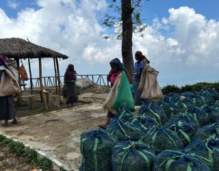 Theeblaadjes klaargezet voor fabriek