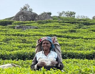 Local in veld tijdens tuk tuk tour