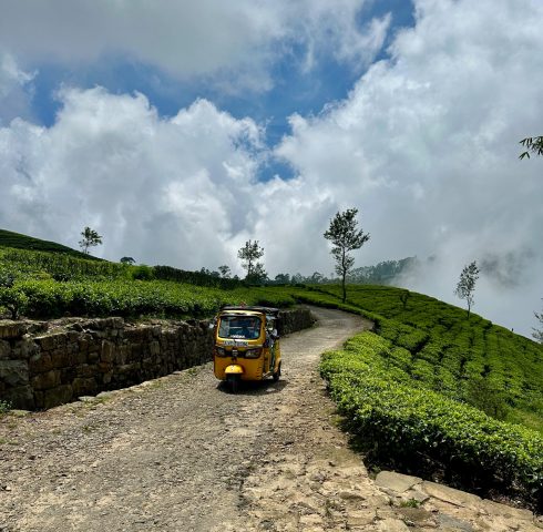 Met de tuk tuk door theeplantages